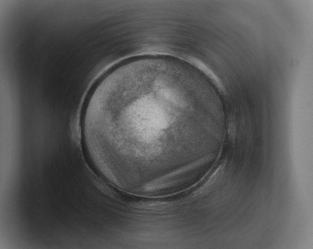 X0000102011372200808011133