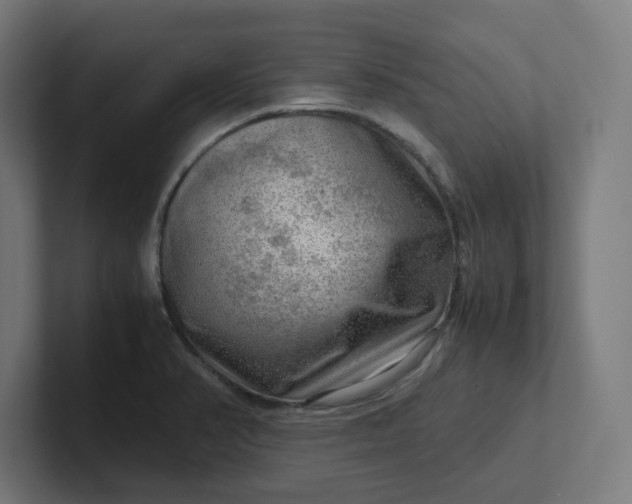 X0000102011374200808011133