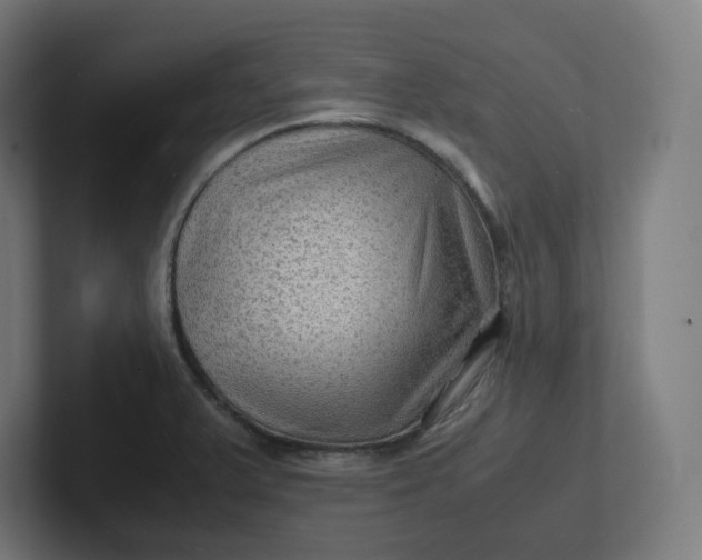 X0000102011375200808011133