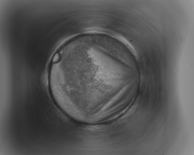 X0000102011376200808011133