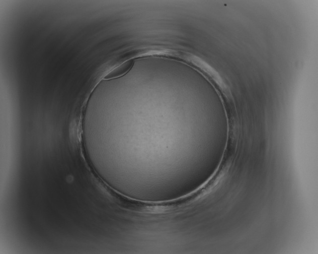 X0000102011377200808011133