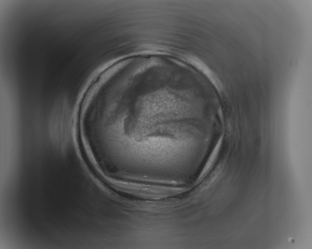 X0000102011379200808011133