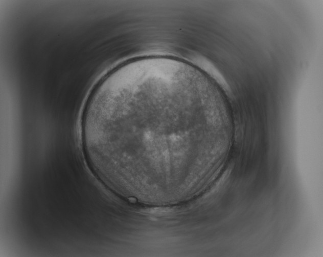 X0000102011380200808011133