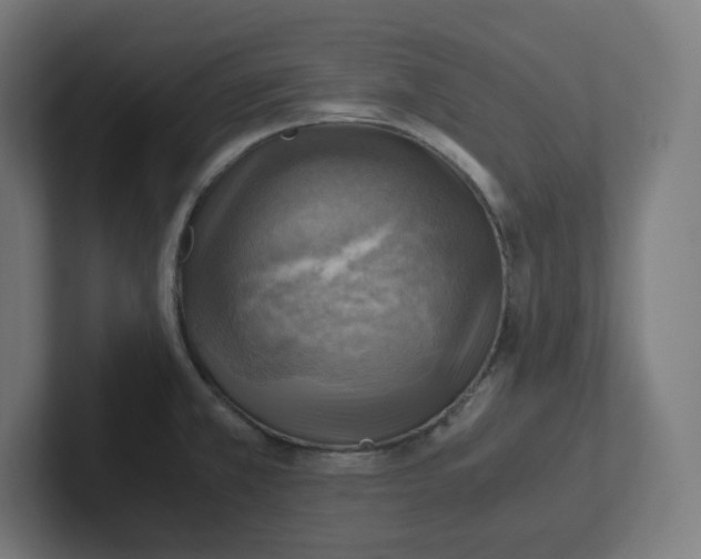 X0000102011381200808011133