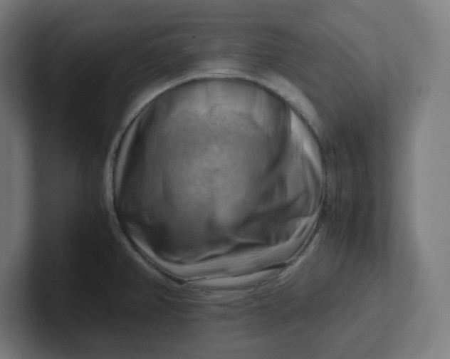 X0000102011382200808011133