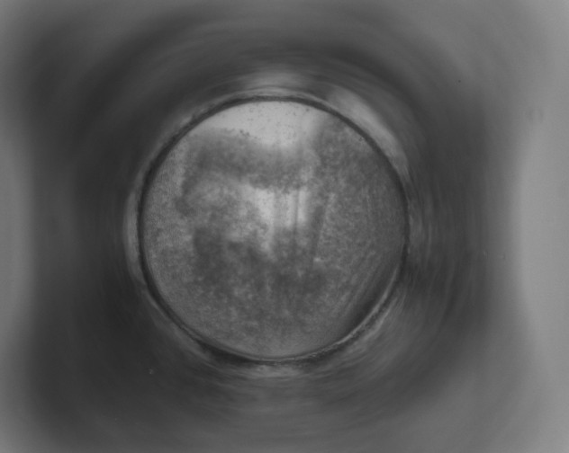 X0000102011384200808011133