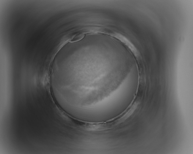 X0000102011385200808011133