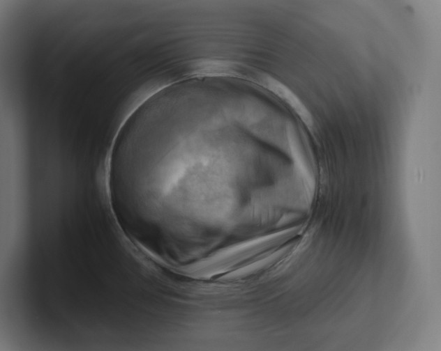 X0000102011386200808011133