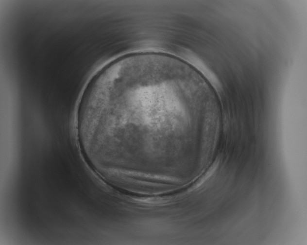 X0000102011388200808011133