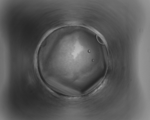 X0000102011389200808011133