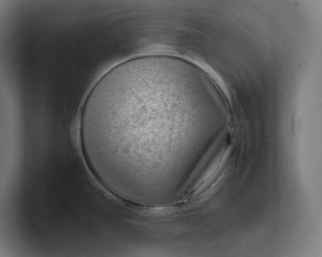 X0000102011390200808011133