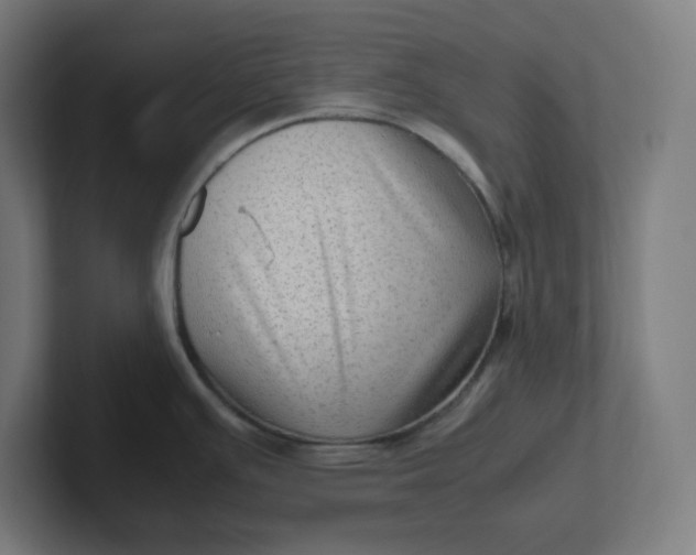 X0000102011391200808011133