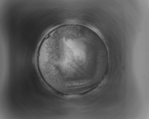 X0000102011392200808011133