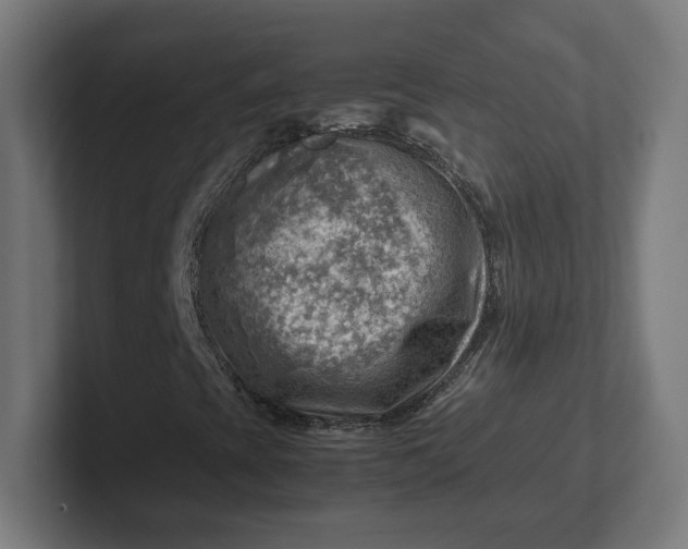 X0000102011393200808011133