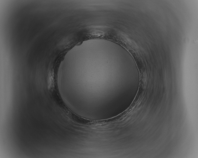 X0000102011394200808011133