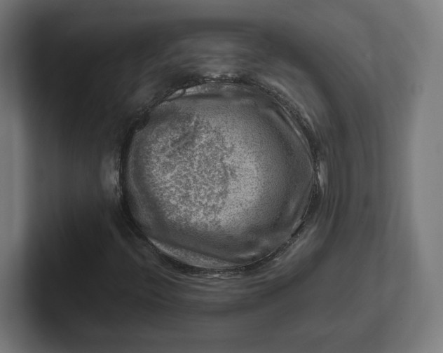 X0000102011396200808011133