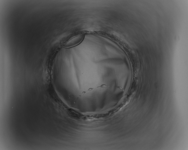 X0000102011398200808011133