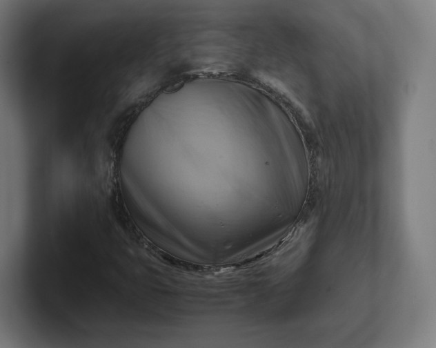 X0000102011399200808011133