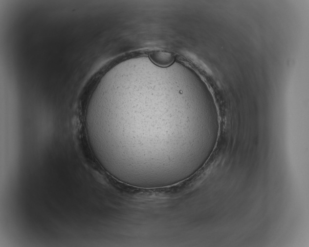 X0000102011400200808011133