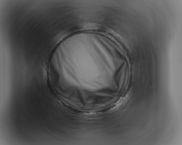 X0000102011401200808011133