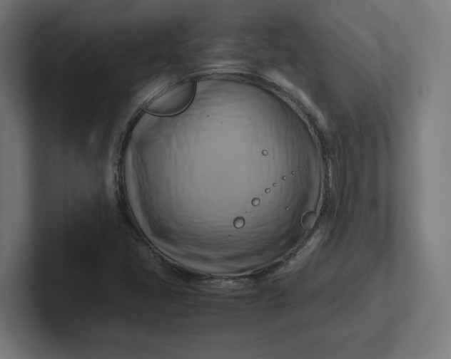 X0000102011405200808011133