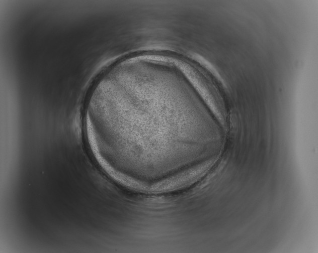 X0000102011408200808011133