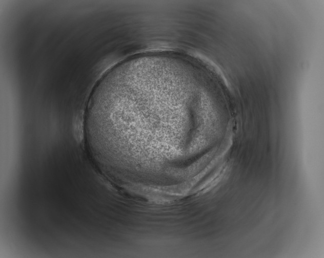 X0000102011409200808011133