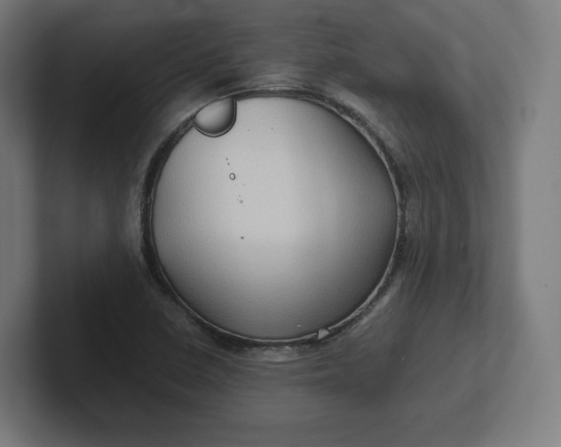 X0000102011410200808011133