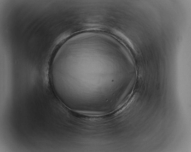 X0000102011411200808011133