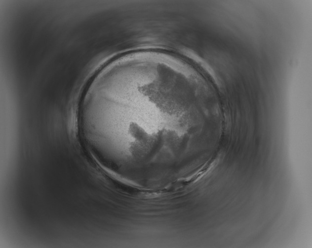 X0000102011415200808011133