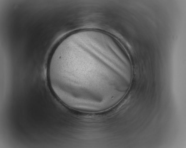 X0000102011416200808011133