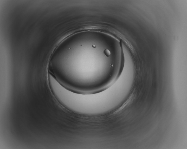 X0000102011417200808011133