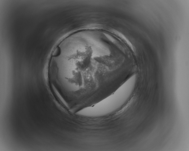 X0000102011421200808011133