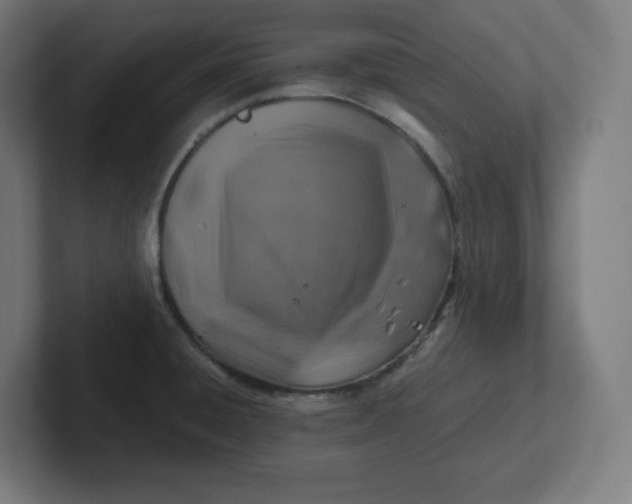 X0000102011428200808011133