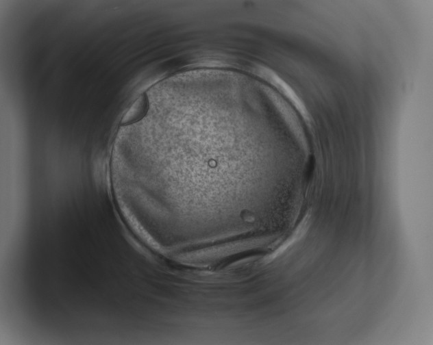 X0000102011433200808011133