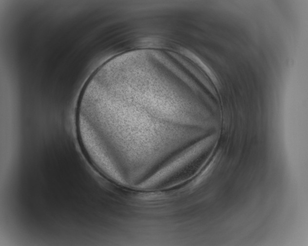 X0000102011434200808011133