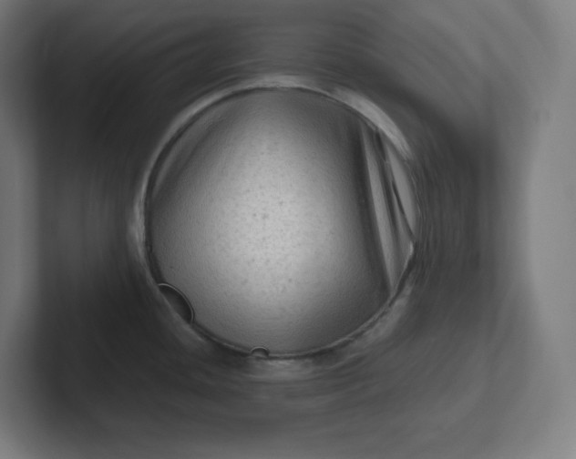 X0000102011436200808011133