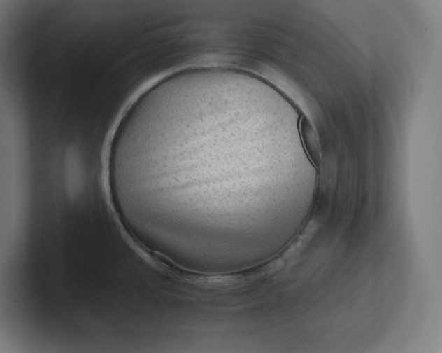 X0000102011437200808011133