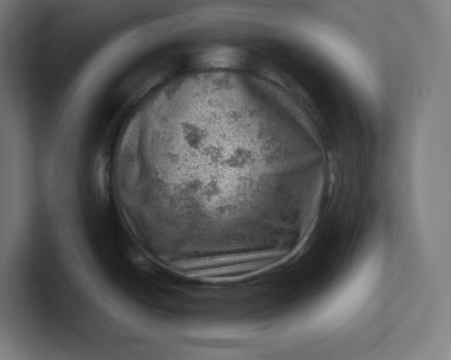 X0000102011438200808011133