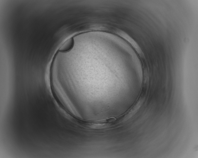 X0000102011439200808011133