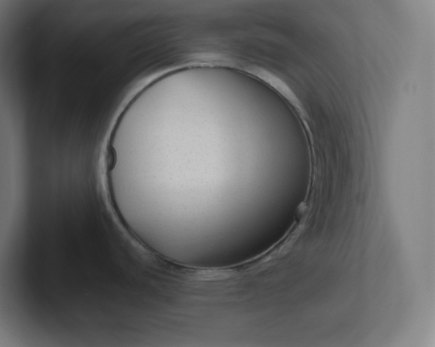 X0000102011440200808011133