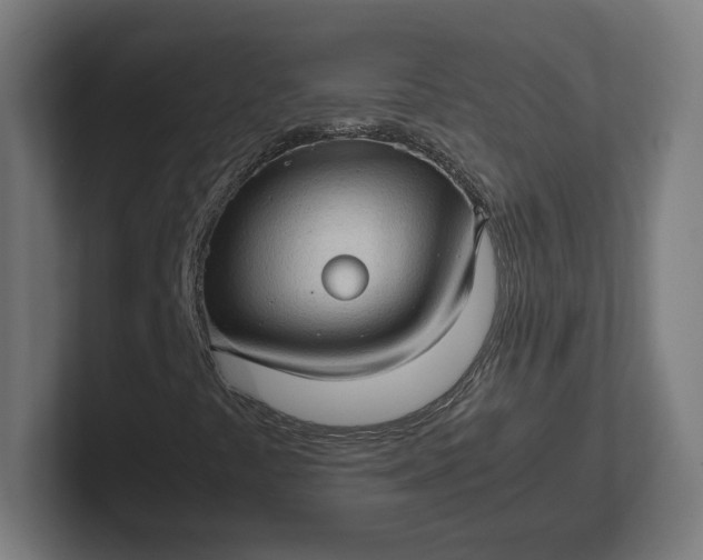 X0000102011441200808011133