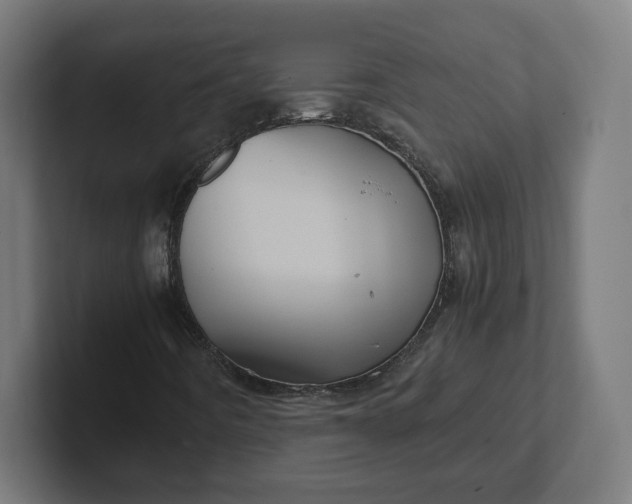 X0000102011442200808011133