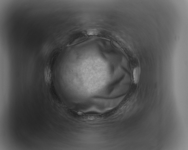 X0000102011443200808011133