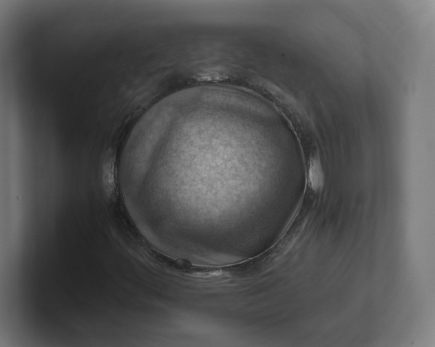 X0000102011444200808011133