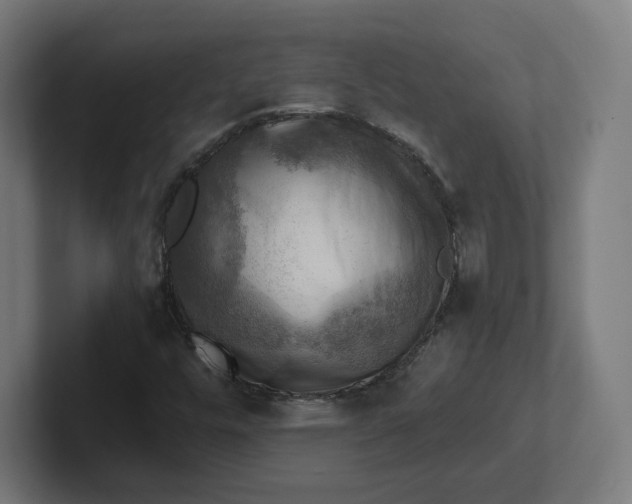 X0000102011448200808011132