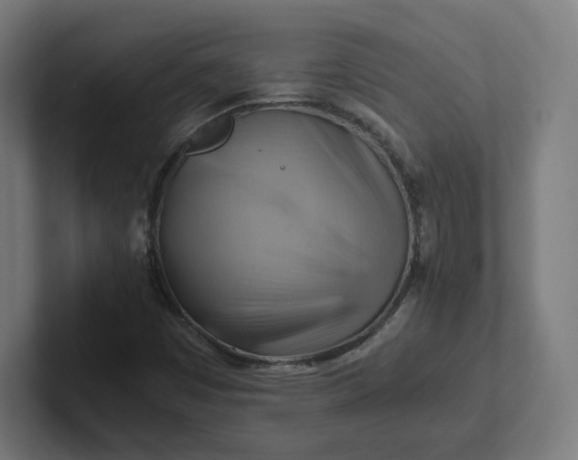 X0000102011449200808011132