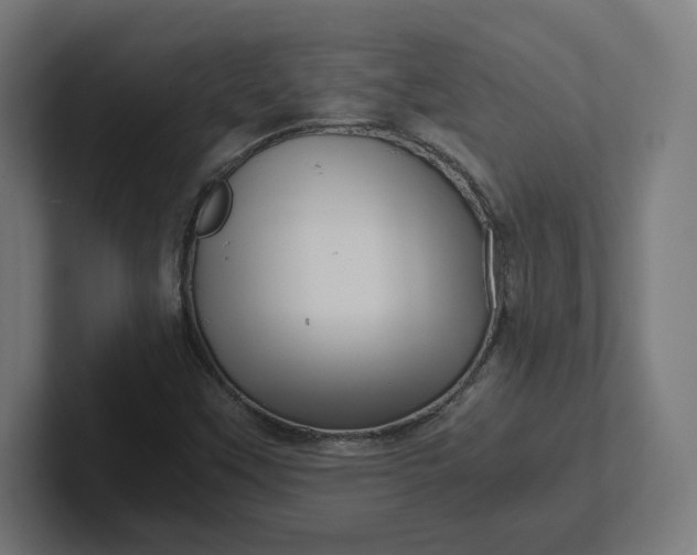X0000102011451200808011132