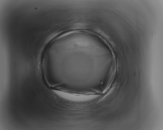 X0000102011453200808011132