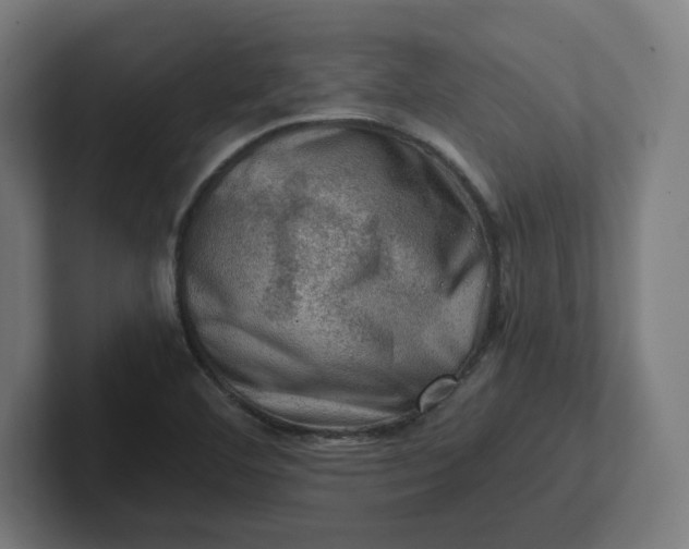 X0000102011460200808011132
